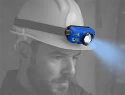 Hand- / Hoofd & Looplampen